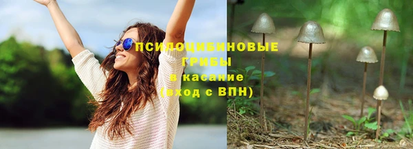 мяу мяу мука Баксан