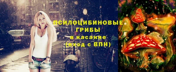 мяу мяу мука Баксан