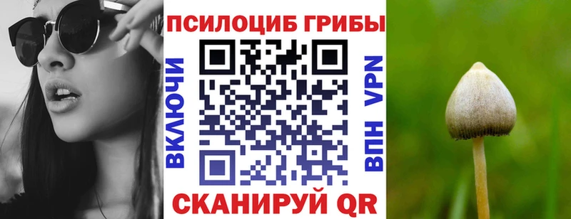 Псилоцибиновые грибы Cubensis  закладка  Пущино 